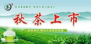 茶叶海报