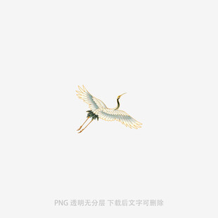 飞翔的白鹭