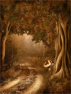 秋日森林中的静谧小径