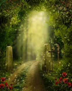 梦幻森林中的神秘小径