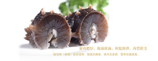 海参