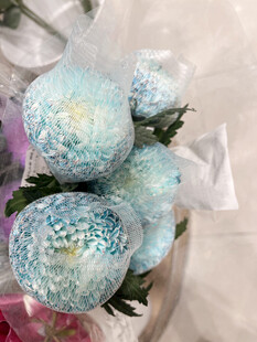 青花瓷牡丹菊花