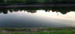 宁静湖畔的自然美景