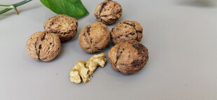 美味核桃摆拍图