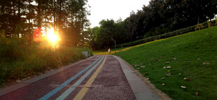 夕阳下的林间骑行小道