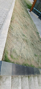 户外割掉的干草与建筑边缘景象