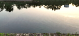 平静湖面倒映岸边景色