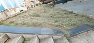 户外阶梯旁的小片枯草地