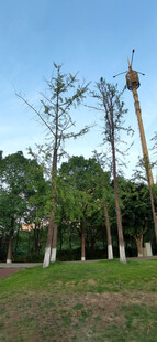 户外草地旁的高耸设施