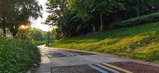 阳光洒落林间小道