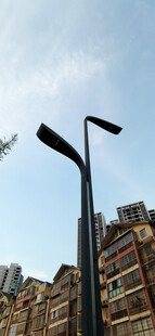 城市路灯与飞鸟景观