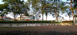 户外树林旁的开阔场地