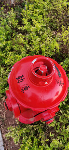 红色消防栓置于绿色草地