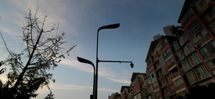 城市街道旁路灯黄昏景象