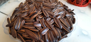 一堆棕色瓜子特写