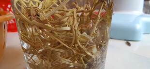 透明杯中泡开的的干花草茶