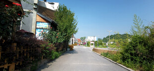 乡村小道旁的美丽住宅