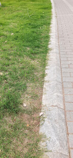 砖石小径旁的翠绿草地