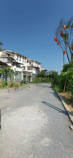 宁静小路旁的低矮建筑群