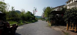 宁静乡村小路风景