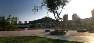 城市公园开阔景致