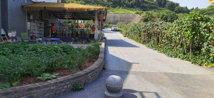 户外休闲步道与绿植景观