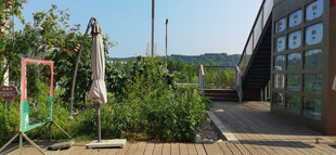 户外庭院休闲场景