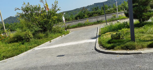 乡村小路旁的绿意景致