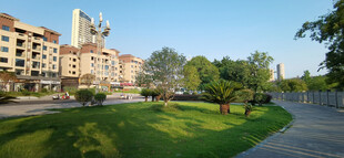 城市中美丽的绿地与建筑