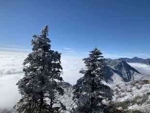 雪岭云间松景