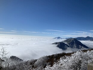 雪山云海壮丽景观