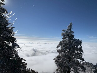 雪覆山林 云海蓝天美景