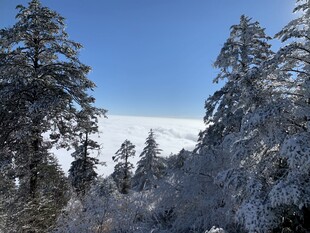 雪覆山林美景