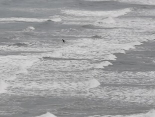 海边 沙滩