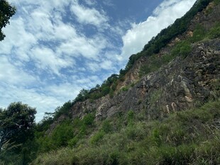 陡峭山坡上的绿植与蓝天