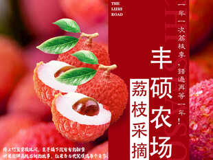 荔枝海报
