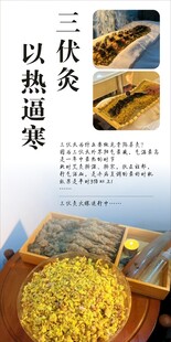 艾灸  三伏灸