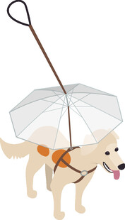 狗狗撑透明伞可爱瞬间