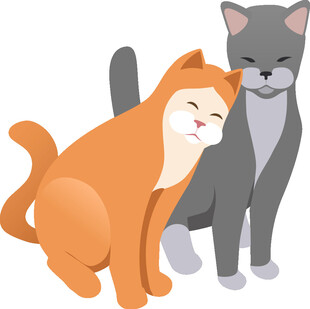 依偎的两只猫咪