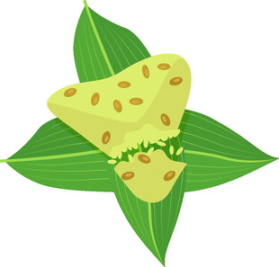 粽叶上的美味三角粽