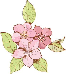 手绘粉色花卉与绿叶