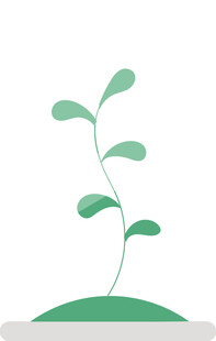 萌芽绿植