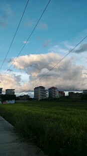 乡村田野边的宁静景致