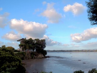 海滨绿树蓝天美景