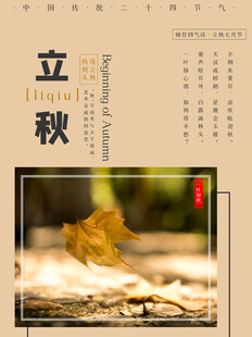 立秋时节落叶景致