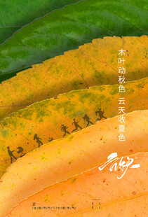 多彩渐变抽象艺术画作