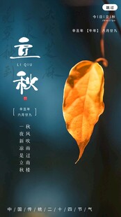 一叶知秋意境海报
