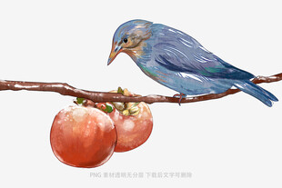 蓝鸟栖枝赏红果