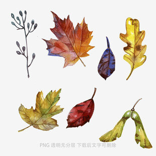 水彩绘多彩秋叶植物元素