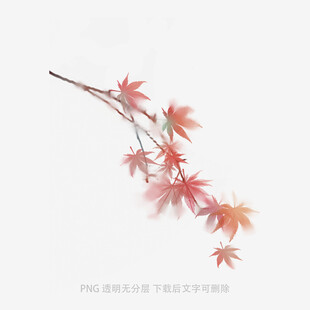 枫叶